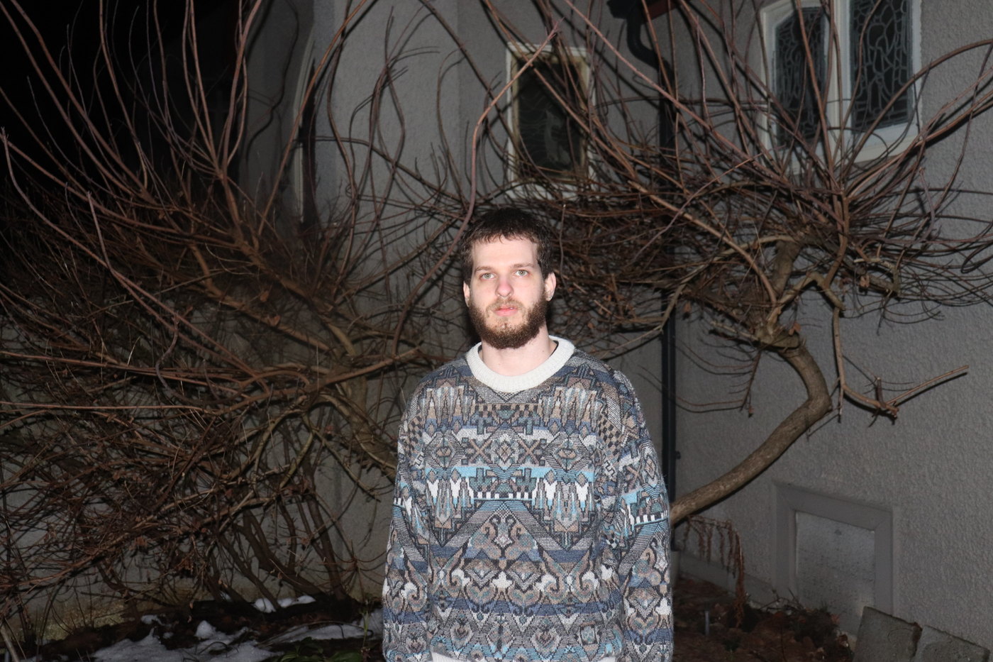 Laüstic, bare branches
