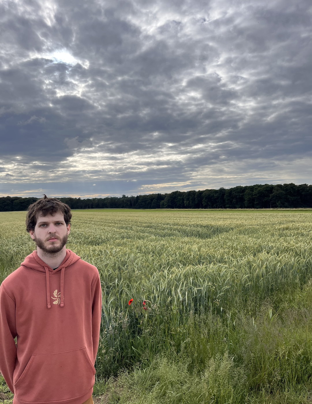 Laüstic, field at dusk