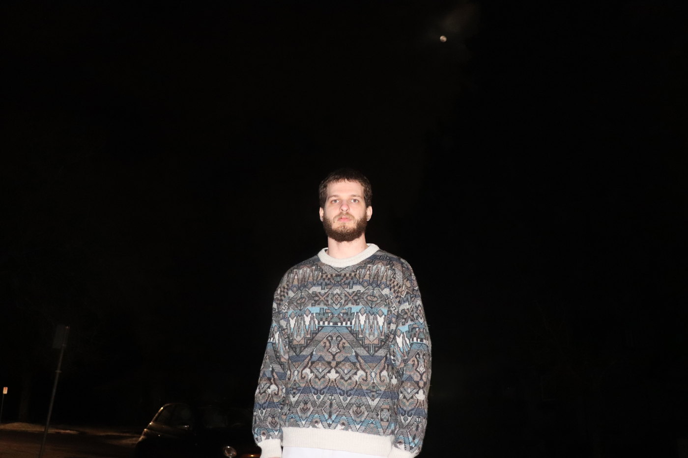 Laüstic, night portrait